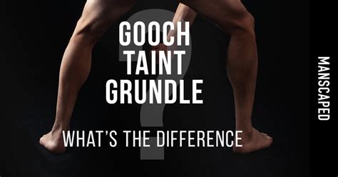 what is a gooch on the human body|The Male Gooch: An Exploration Of Its Anatomy And Significance